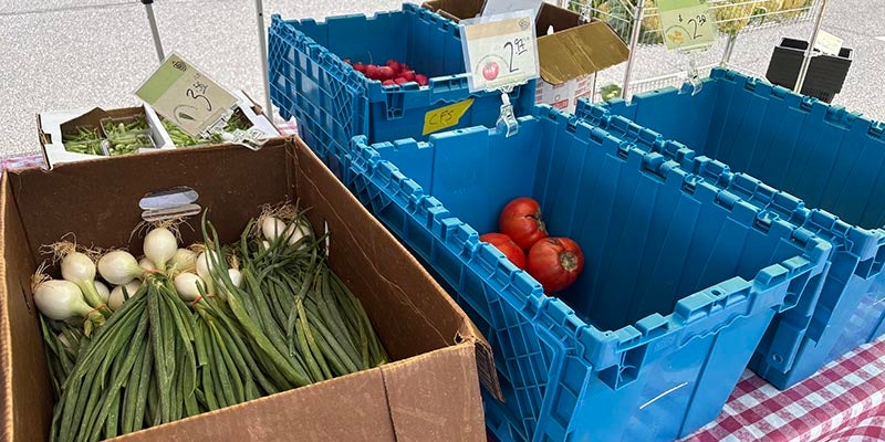 Farmers Market
