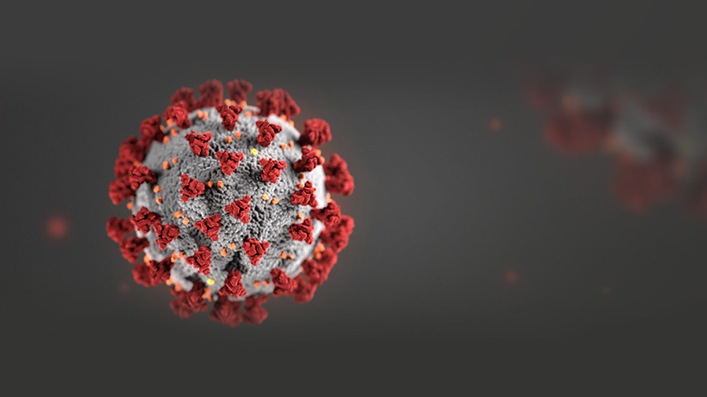 coronavirus