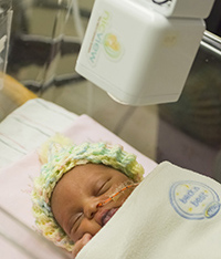 NicView_15_sm2.jpg