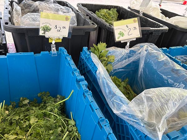 Market vegetables