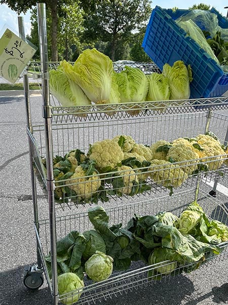 market vegetables
